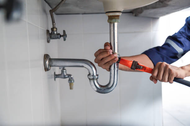 Best Septic Systems  in Maple Grove, MN