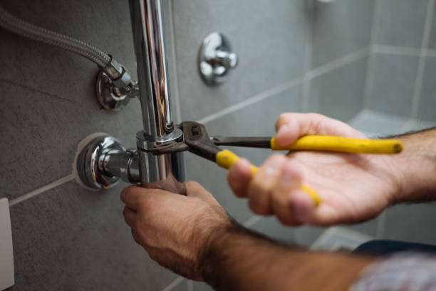 Best Sprinkler Systems  in Maple Grove, MN