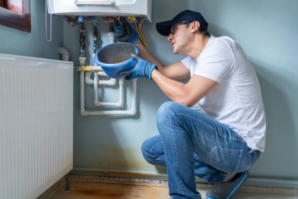 Best Local Plumber Services  in Maple Grove, MN