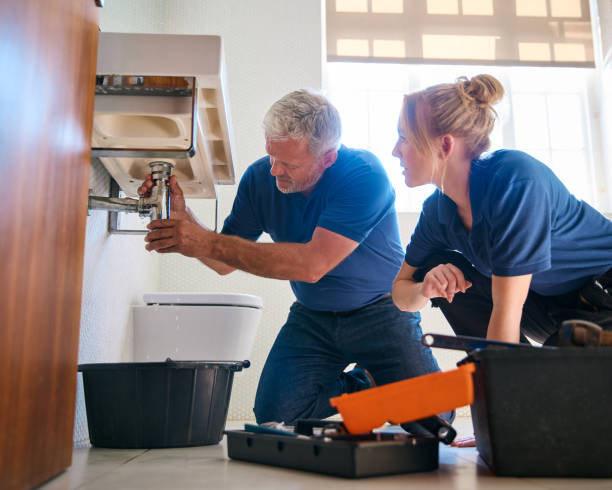 Best Local Plumber Services  in Maple Grove, MN