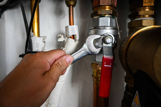 Best Affordable Plumbing Services  in Maple Grove, MN